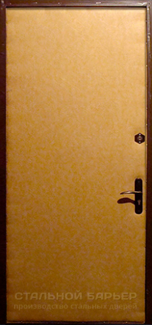 Дверь Винилискожа №2